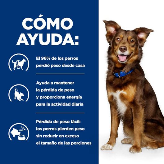 Hill's Prescription Diet Metabolic cordero y arroz pienso para perros, , large image number null